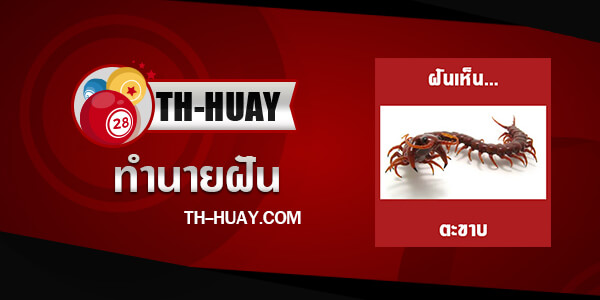 ทำนายฝันเห็นตะขาบ