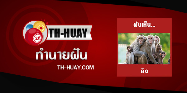 ทำนายฝันเห็นลิง