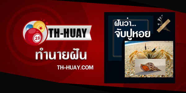 ทำนายฝันจับปูหอย