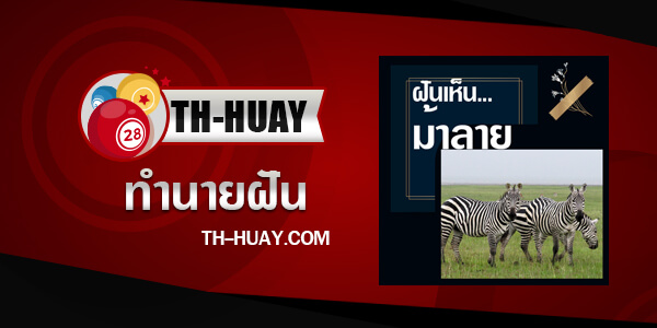 ทำนายฝันเห็นม้าลาย