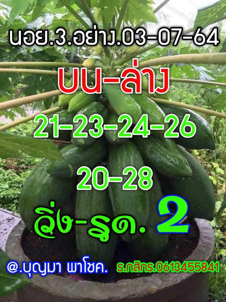 แนวทางหวยฮานอย 3/7/64 ชุดที่8