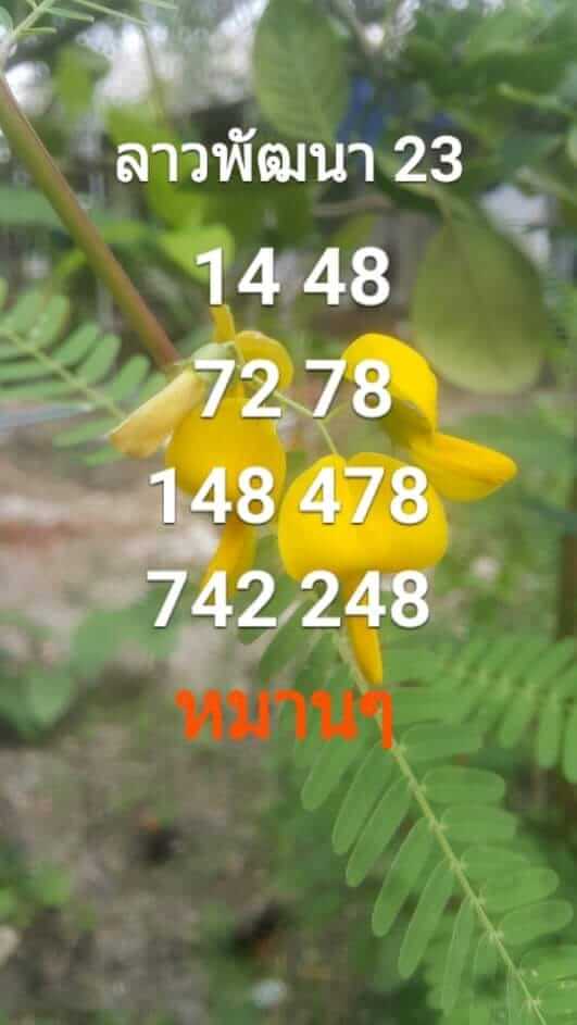 แนวทางหวยลาว 23/8/64 ชุดที่3