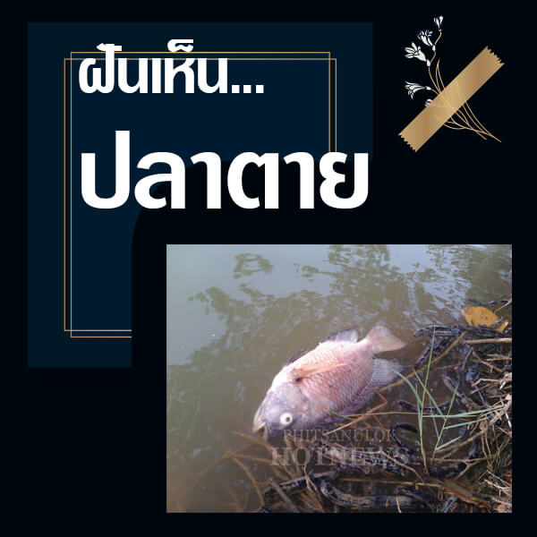 ทำนายฝันเห็นปลาตาย