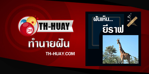ทำนายฝันเห็นยีราฟ