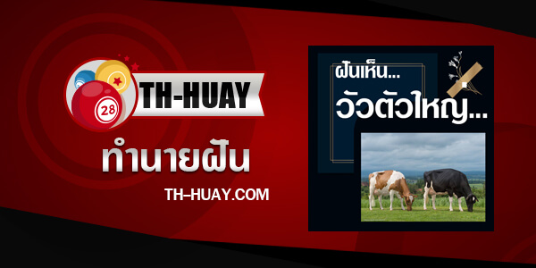 ทำนายฝันเห็นวัวตัวใหญ่