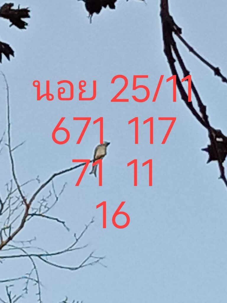 แนวทางหวยฮานอย 25/11/64 ชุดที่ 16