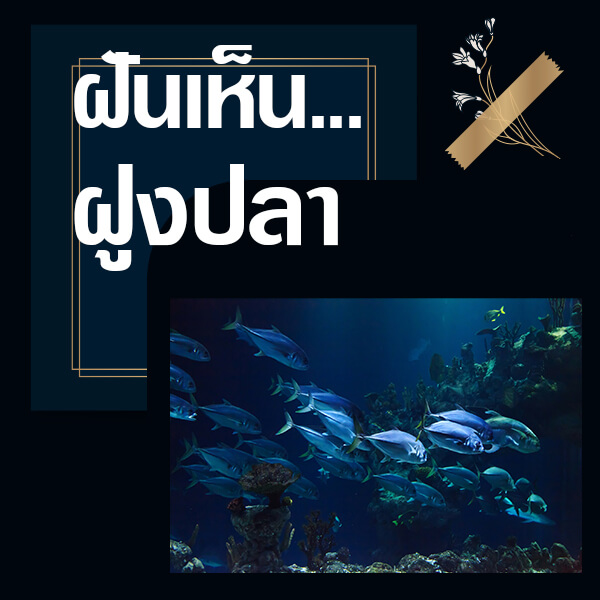 ฝันเห็นฝูงปลา