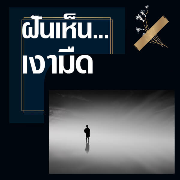 ฝันเห็นเงา
