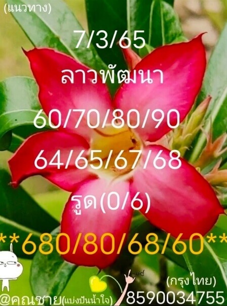 แนวทางหวยลาว 7/3/65 ชุดที่ 4
