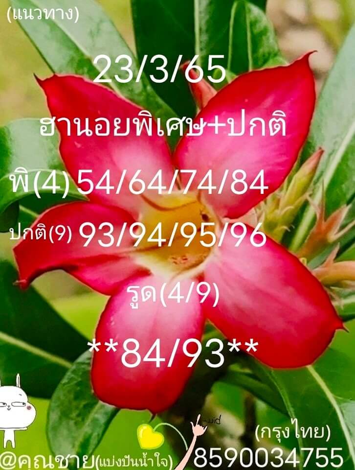 แนวทางหวยฮานอย 23/3/65 ชุดที่ 1