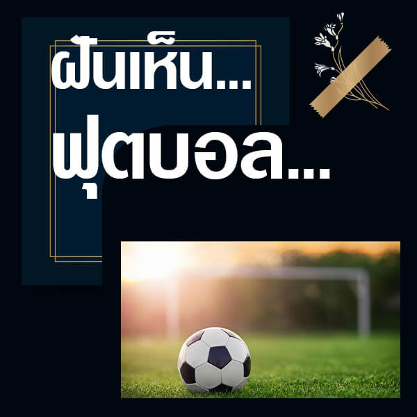 ทำนายฝันเห็นฟุตบอล