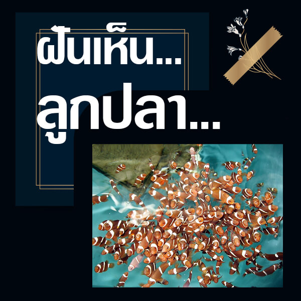 ทำนายฝันเห็นลูกปลา
