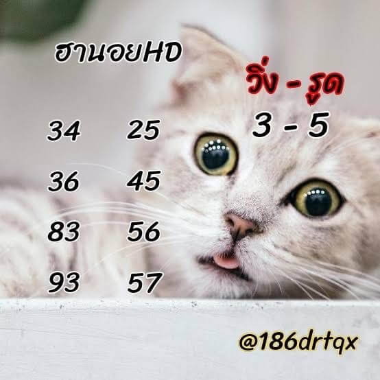 แนวทางหวยฮานอย 14/6/65 ชุดที่ 7