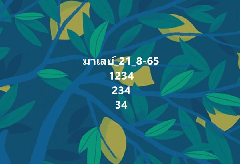 แนวทางหวยมาเลย์ 21/8/65 ชุดที่ 15