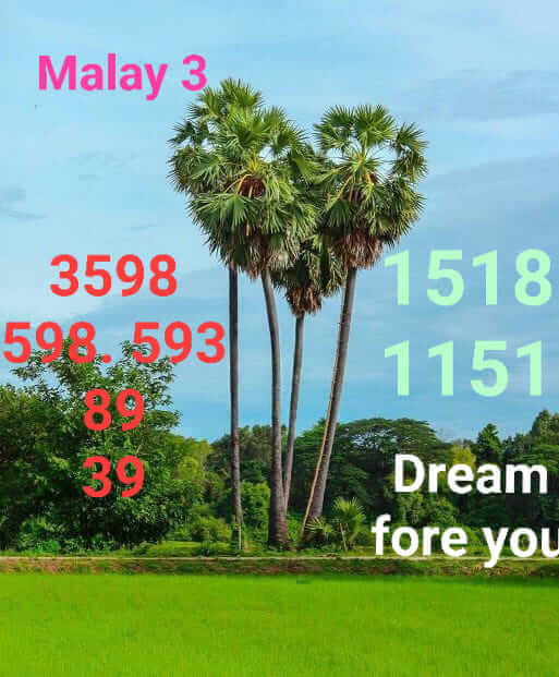 แนวทางหวยมาเลย์ 3/8/65 ชุดที่ 1