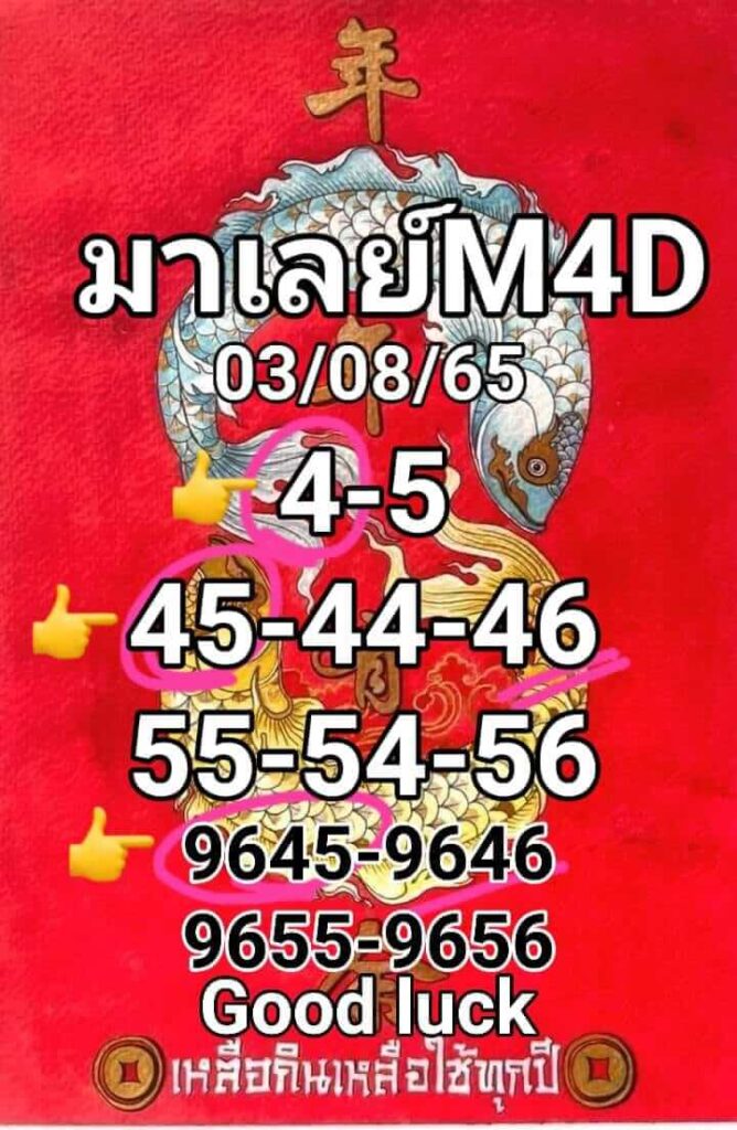 แนวทางหวยมาเลย์ 3/8/65 ชุดที่ 5