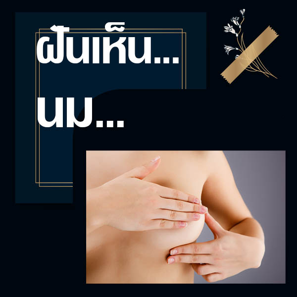 ทำนายฝันเห็นเต้านม