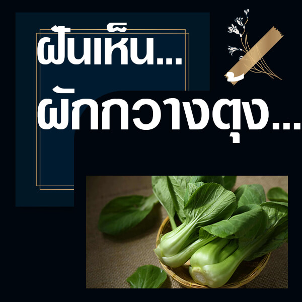 ทำนายฝันเห็นผักกวางตุ้ง