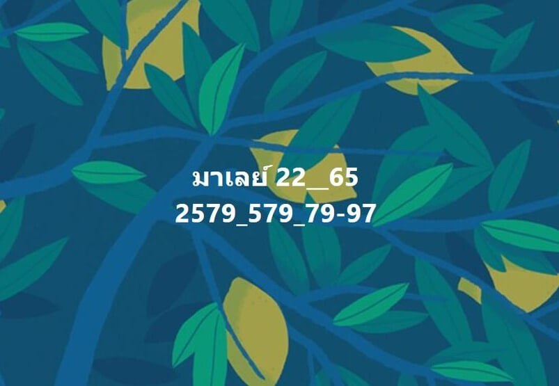แนวทางหวยมาเลย์ 22/10/65 ชุดที่ 9