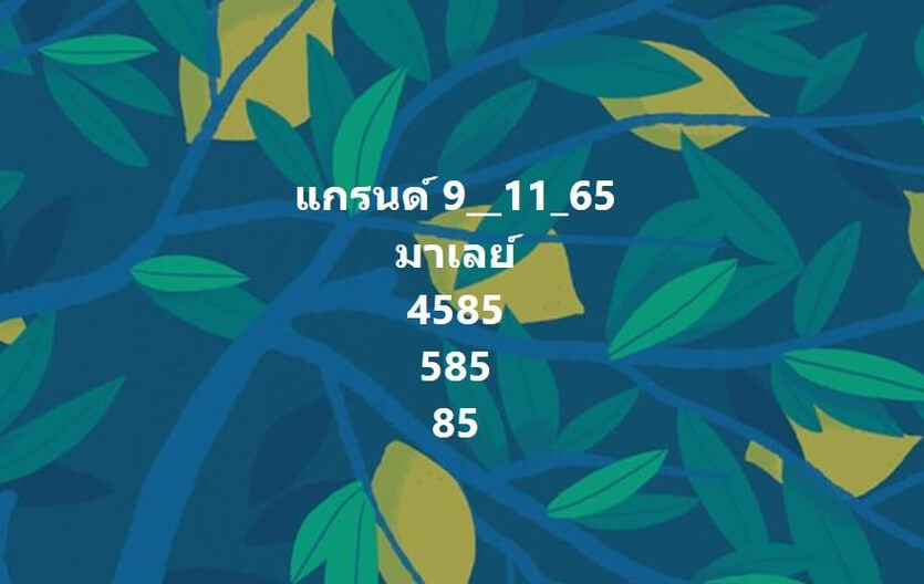 แนวทางหวยมาเลย์ 9/11/65 ชุดที่ 10