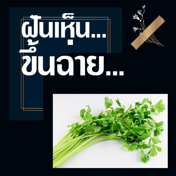 ทำนายฝันเห็นขึ้นฉ่าย