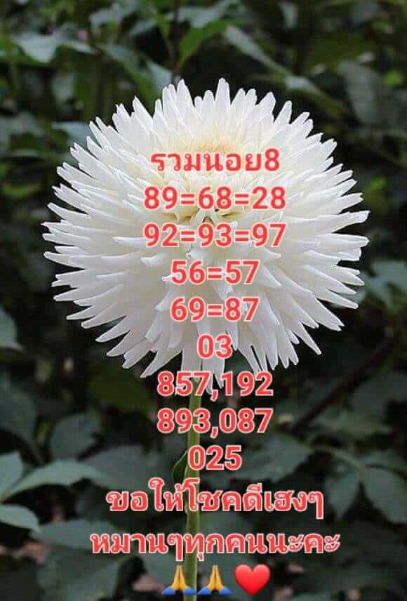 แนวทางหวยฮานอย 8/12/65 ชุดที่ 8