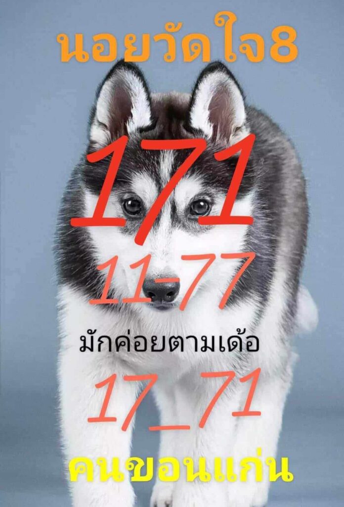 แนวทางหวยฮานอย 8/12/65 ชุดที่ 9