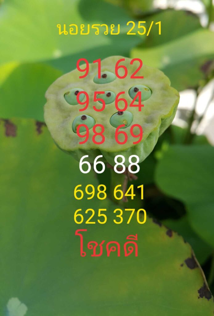 แนวทางหวยฮานอย 25/1/66 ชุดที่ 8