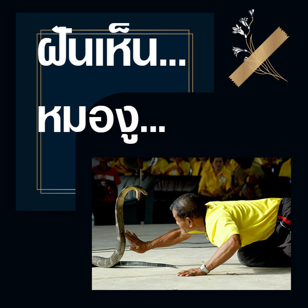 ทำนายฝันเห็นหมองู