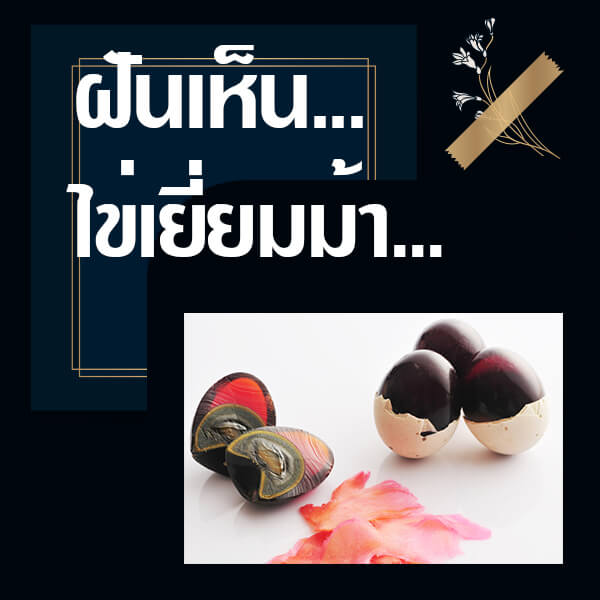 ทำนายฝันเห็นไข่เยี่ยวม้า