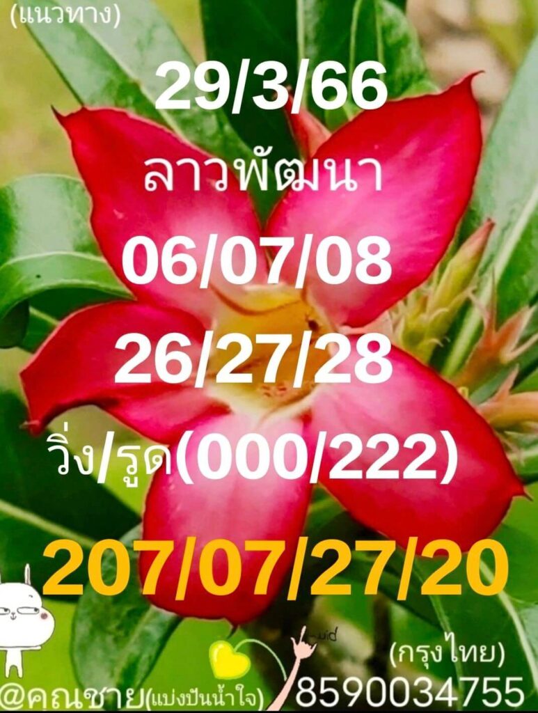 แนวทางหวยลาว 29/3/66 ชุดที่ 10