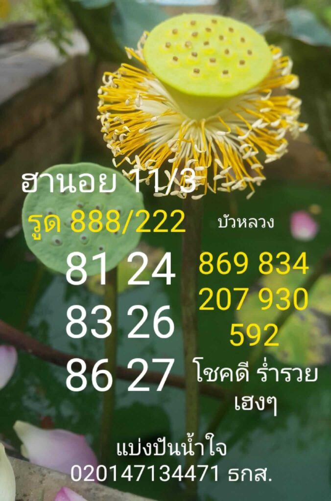 แนวทางหวยฮานอย 11/3/66 ชุดที่ 13