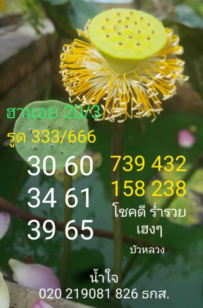 แนวทางหวยฮานอย 20/3/66 ชุดที่ 10