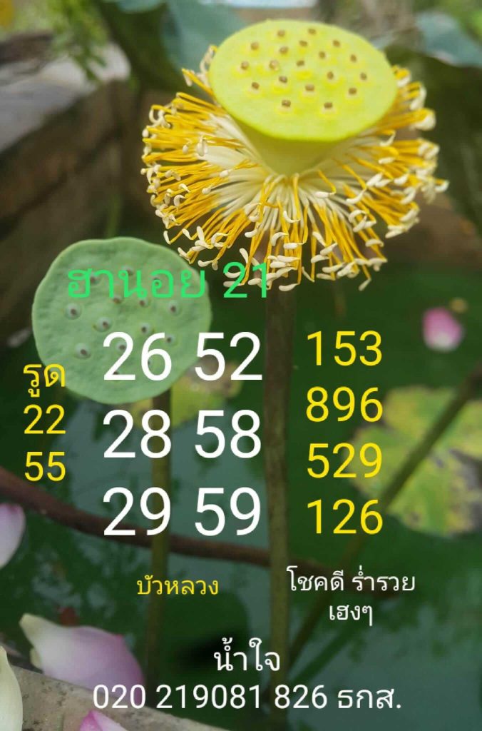 แนวทางหวยฮานอย 21/5/66 ชุดที่ 4