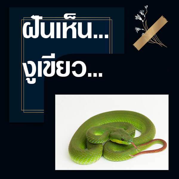 ทำนายฝันเห็นงูเขียว