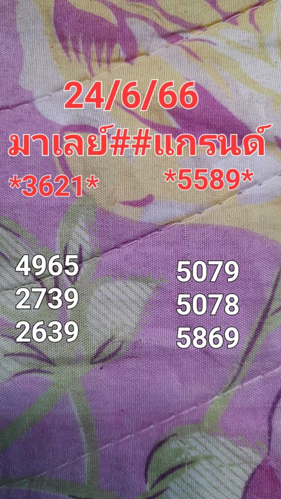 แนวทางหวยมาเลย์ 24/6/66 ชุดที่ 5