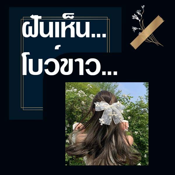 ทำนายฝันเห็นโบว์ขาว