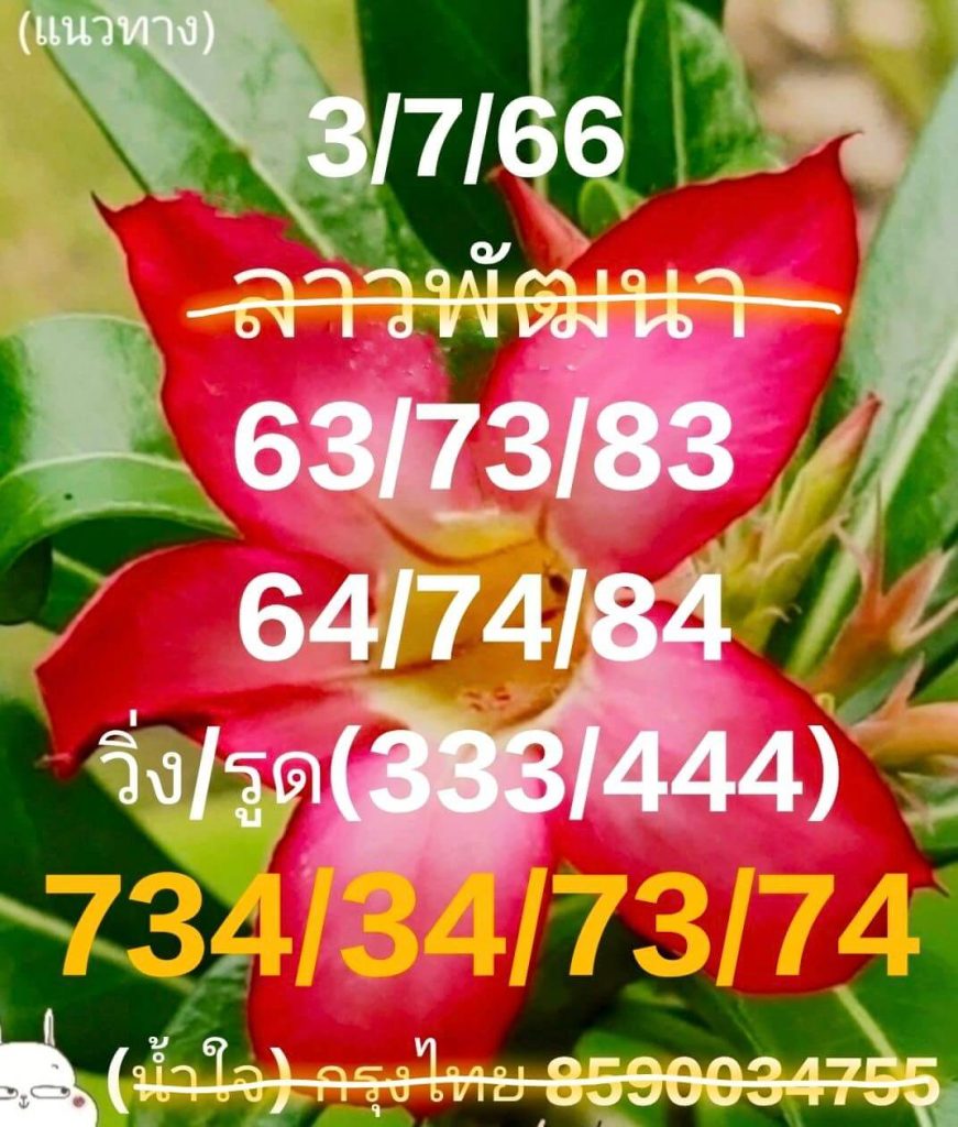 แนวทางหวยลาว 3/7/66 ชุดที่ 5