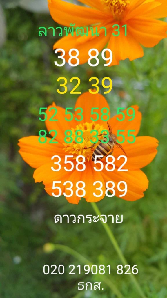 แนวทางหวยลาว 31/7/66 ชุดที่ 4
