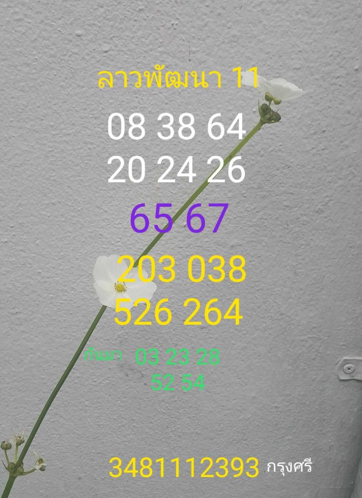 แนวทางหวยลาว 11/8/66 ชุดที่ 6