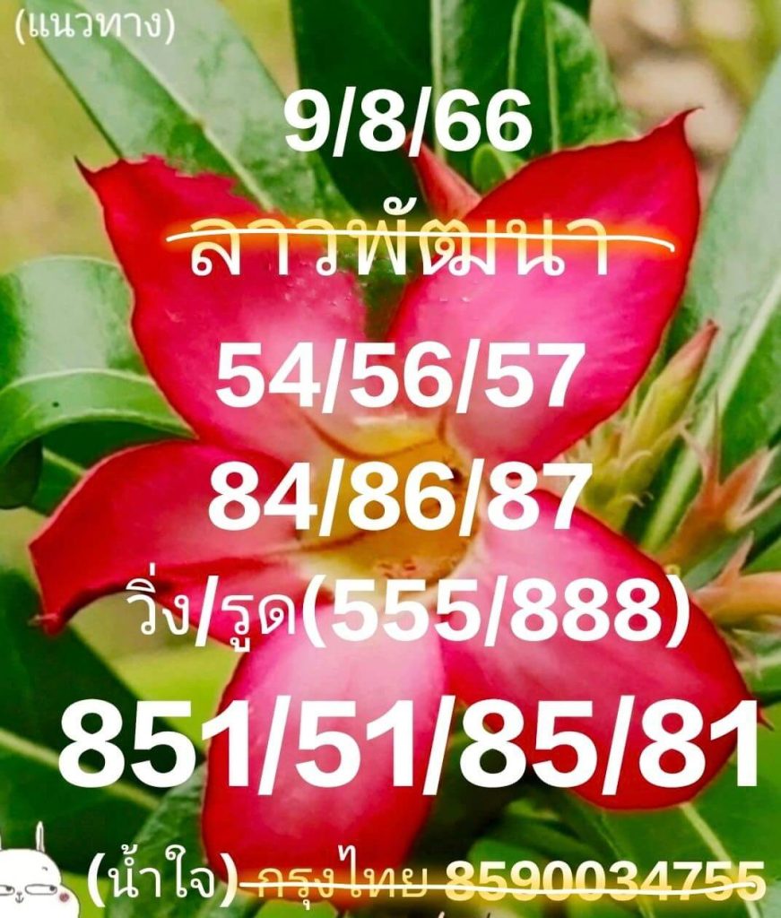 แนวทางหวยลาว 9/8/66 ชุดที่ 10