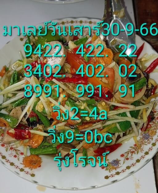 แนวทางหวยมาเลย์ 30/9/66 ชุดที่ 9