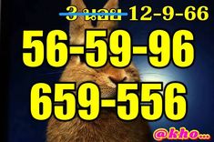 แนวทางหวยฮานอย 12/9/66 ชุดที่ 9