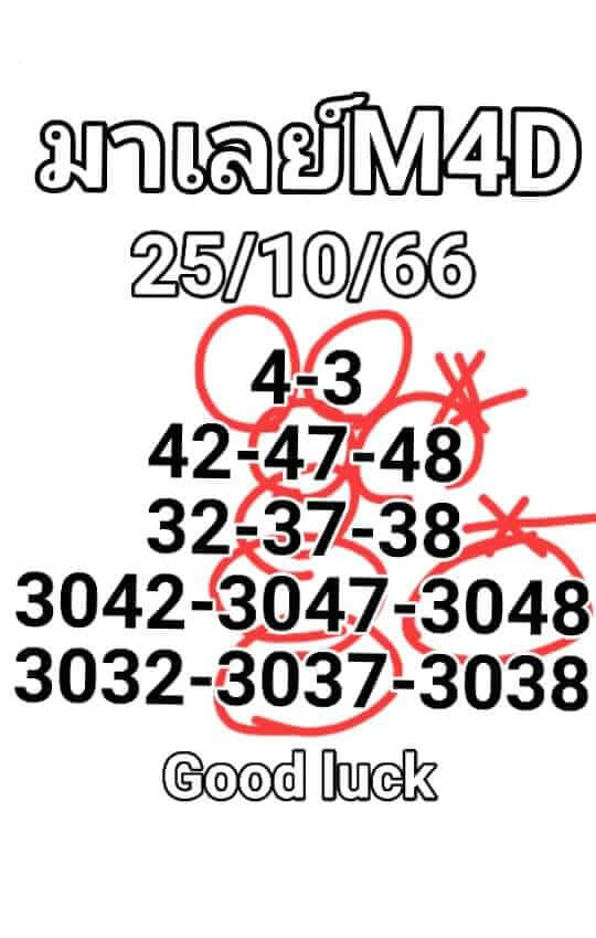 แนวทางหวยมาเลย์ 25/10/66 ชุดที่ 10