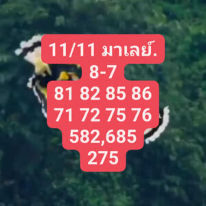 แนวทางหวยมาเลย์ 11/11/66 ชุดที่ 10