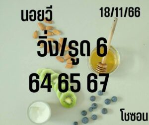แนวทางหวยฮานอย 18/11/66 ชุดที่ 10