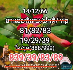 หวยฮานอย 14-12-66 ชุด3