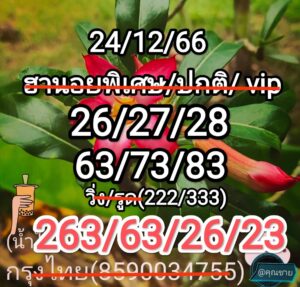 หวยฮานอย 24-12-66 ชุด3