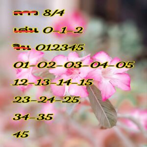 แนวทางหวยลาว 8/4/67 ชุดที่ 7
