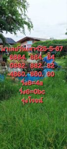 แนวทางหวยมาเลย์ 25/5/67 ชุดที่ 9